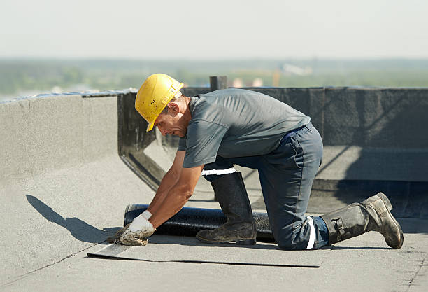 Best Specialized Insulation Services in Heritage Pines, FL